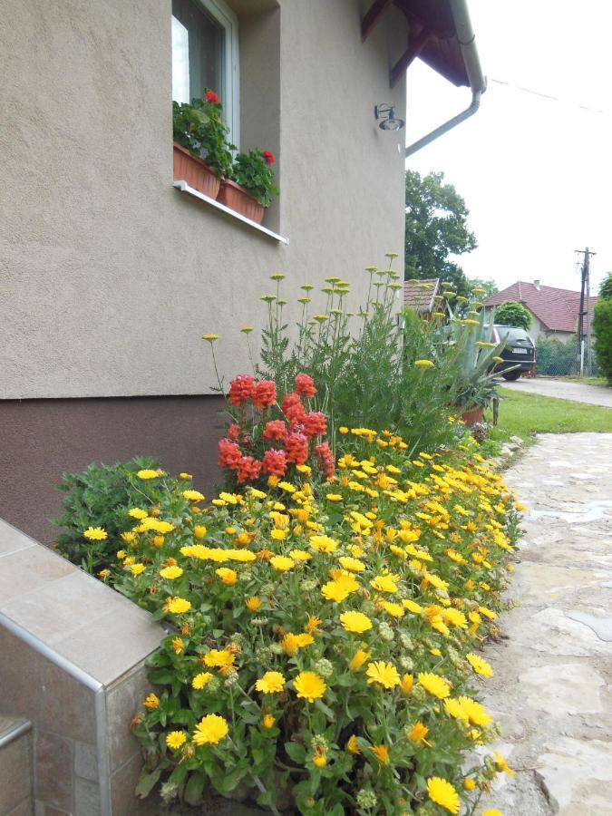 Viragos Apartman Balatonszárszó Exterior foto